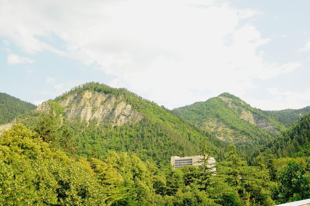 Alma-Ata Hotel Borjomi Eksteriør bilde